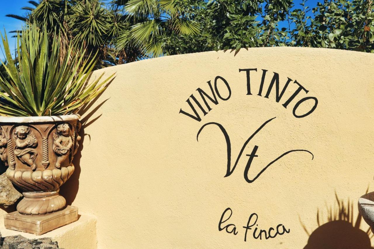 Finca Vino Tinto 2 Icod de los Vinos Kültér fotó